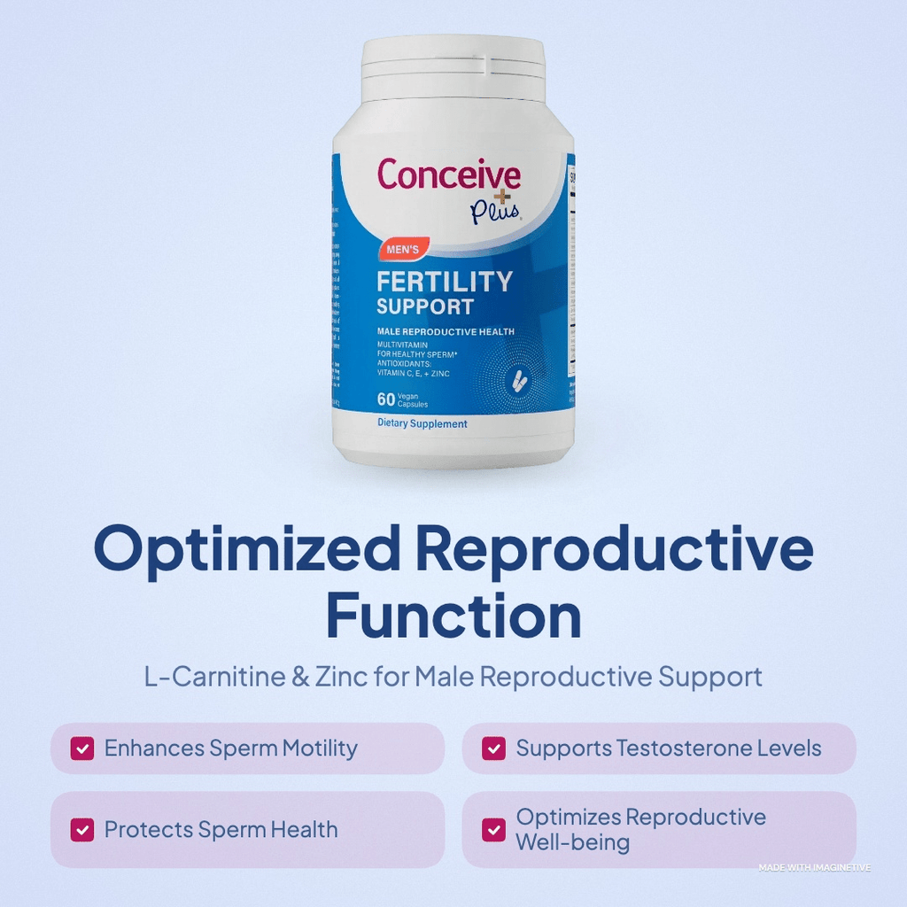 Male Fertility: Understanding Sperm Health and How to Improve It - Conceive Plus® Asia